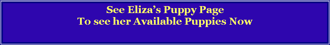 Text Box: See Elizas Puppy PageTo see her Available Puppies Now